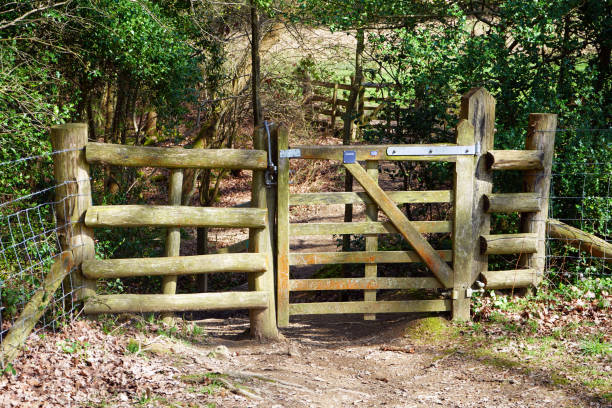 istock Old wooden gate in the countryside 1146252009