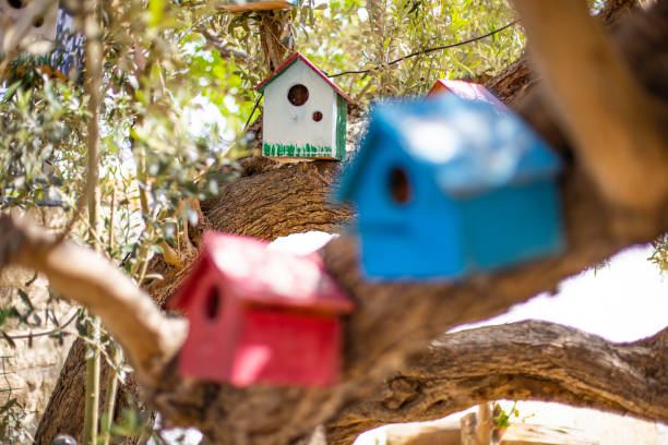 istock Birdhouses ( nesting box ) at the tree 1146253759
