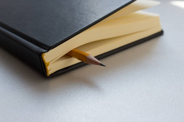 istock Pencil and notebook or copybook or organizer. School lesson, office meeting, writing letters. Paper notes. Top view 1146255041