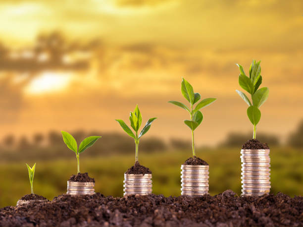 istock Metal coins and plants 1146255582