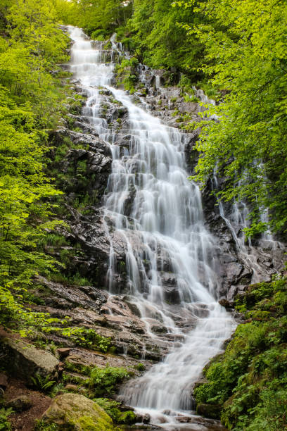 istock Stunning, powerful Pilj waterfall on old mountain during spring 1146259140