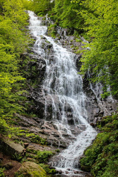 istock Stunning, powerful Pilj waterfall on old mountain during spring 1146259153
