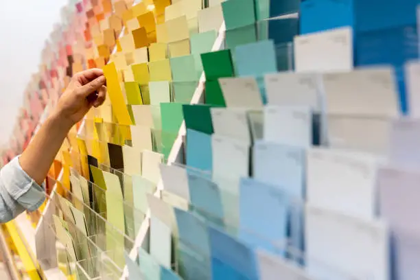 Photo of Customer holding a color sample at a home improvement store