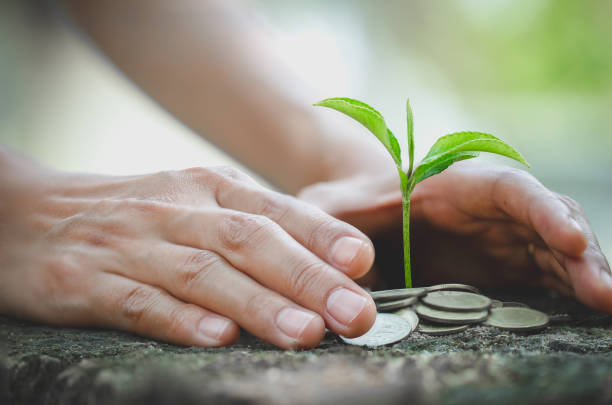 istock Hand protect money stack with plant growing on coins. saving money coins, Hands that are taking care of trees on coins, concept finance 1146270148