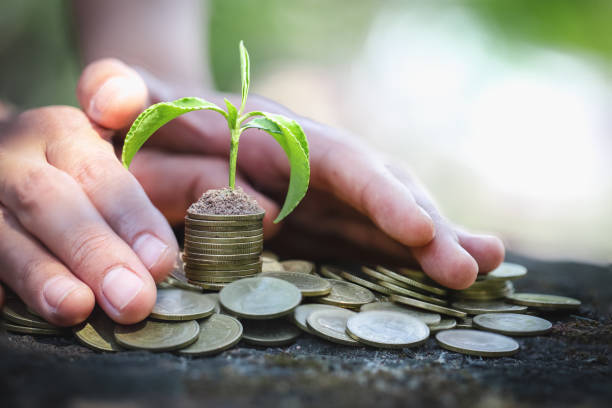 istock Hand protect money stack with plant growing on coins. saving money coins, Hands that are taking care of trees on coins, concept finance 1146270170