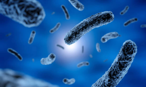 istock rod-shaped bacteria in blue background 1146273506