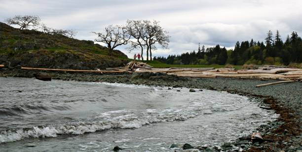 istock Coastline of Vancouver Island on a typical cloudy spring day 1146274817