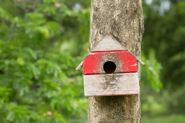 Bird house nesting-box hang on tree trunk