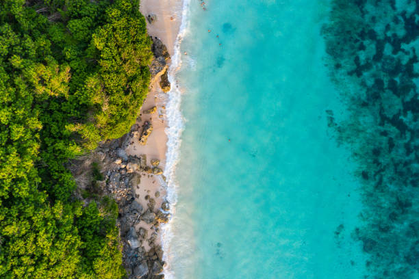 istock Bali - beach from above. Aerial drone shot 1146276352