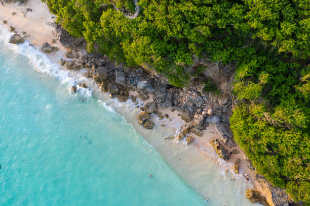 istock Bali - beach from above. Aerial drone shot 1146276355