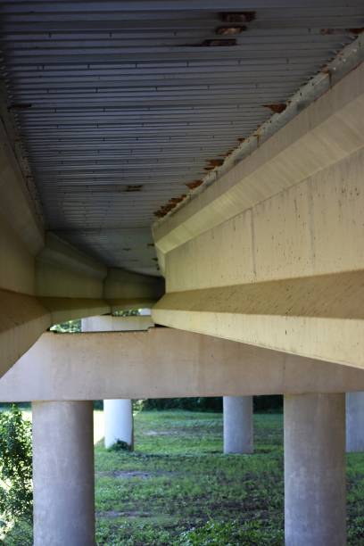 istock Series of Swallows Nests Underneath Highway Bridge Ledge 1146276451