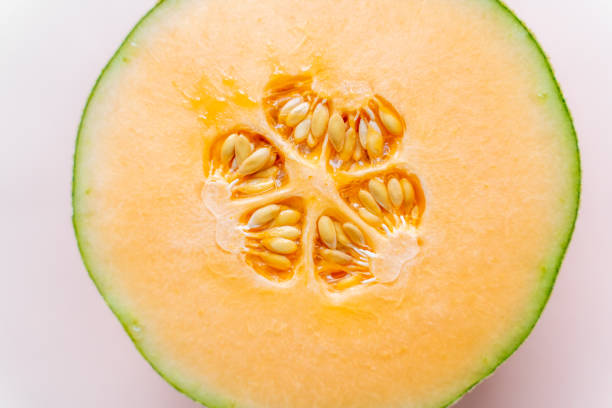 Cantaloupe Mellon cross section
