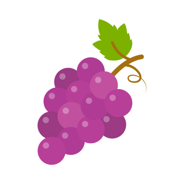 illustrations, cliparts, dessins animés et icônes de icône de raisins, illustration de fruit de vecteur, vin de la nature - raisin illustrations
