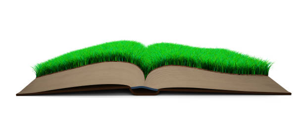 istock Open book of grass and soil texture page. 3D illustration. 1146279112