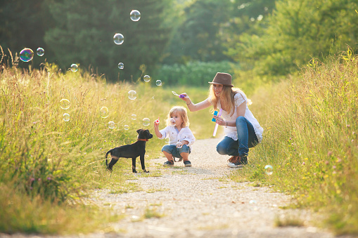 Cute little child, his mother and puppy playing with soap bubbles in a park.