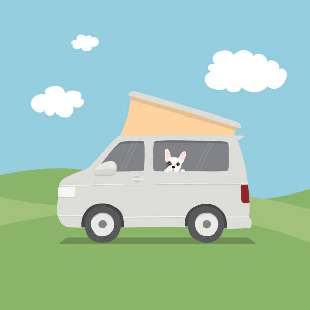 illustrations, cliparts, dessins animés et icônes de français bulldog regardant par la fenêtre de l’intérieur d’un fourgon de camping-car - pets grass scenics dog