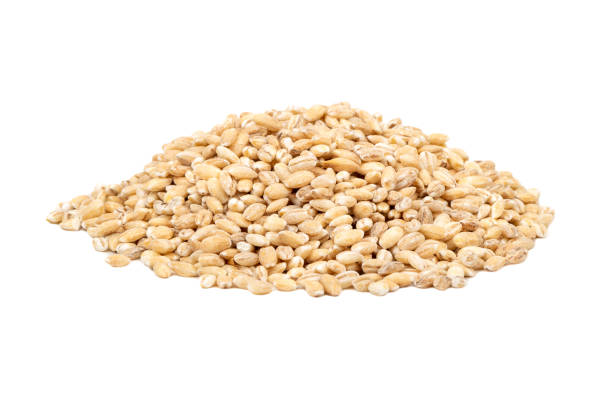 istock Pile pearl barley 1146280715
