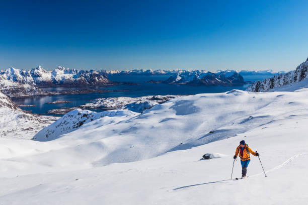 istock Skitouring - powder skiing at  Lofoten - Norway 1146281017