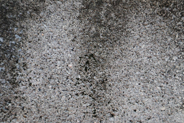 istock Beautiful closeup textures abstract old wall background and cement floor 1146287204