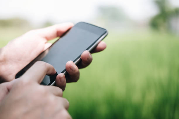 istock farmer using mobile checking report of agriculture in farm. 1146287585