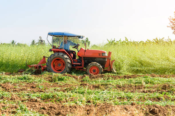 istock Farmer use Tractor Incorporation the Green manure 1146289084