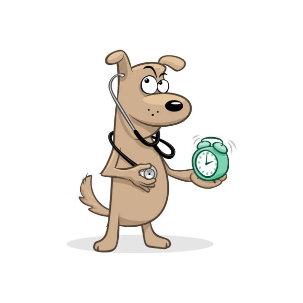 Cartoon Dog Watch Cartoon Dog Watch