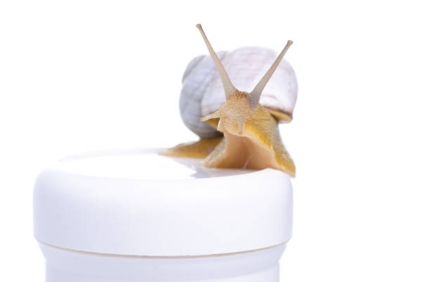 istock White bottle cream with snail 1146290092