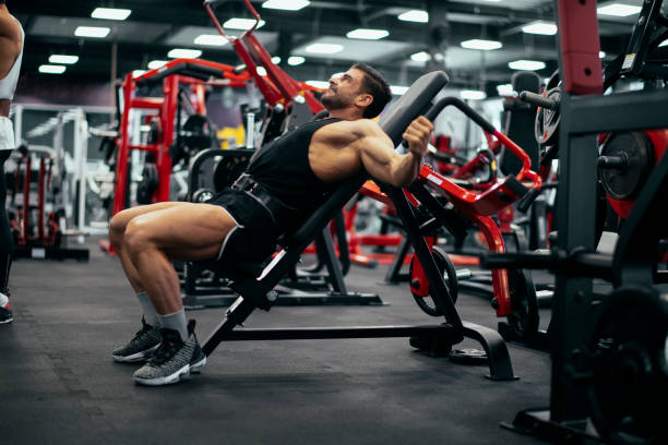 istock Workout. Gym. Weight Training. Bodybuilding. Bodybuilder having training in the gym 1146294824