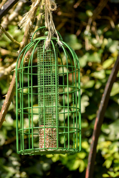 istock Green Metal Birdfeeder 1146297763
