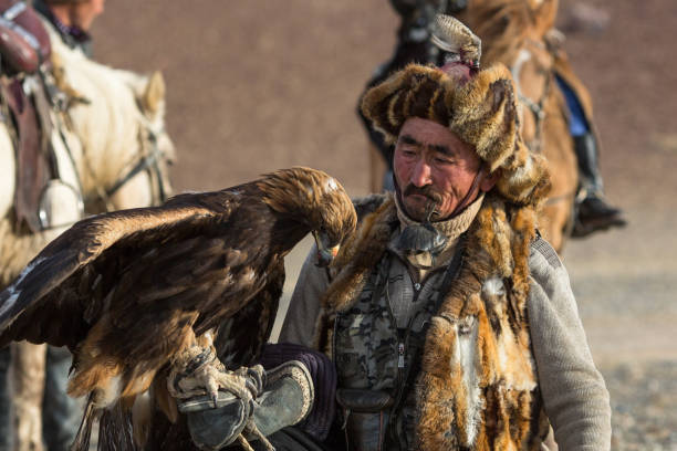 caçador de kazakh com águia dourada em mongolia. - independent mongolia fotos - fotografias e filmes do acervo