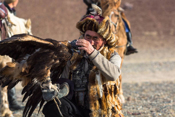 kazakh hunter with golden eagle in mongolia. - independent mongolia fotos imagens e fotografias de stock