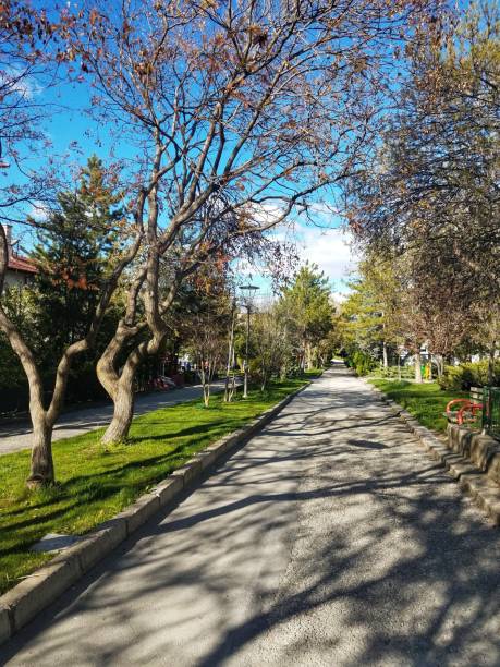 istock A beautiful street in Ankara 1146304283
