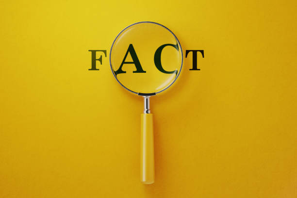 istock Magnifier And Fact Text On Yellow Background 1146305310