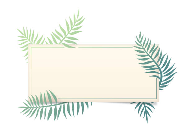 illustrazioni stock, clip art, cartoni animati e icone di tendenza di cornice foglia di palma - palm leaf frond leaf backgrounds