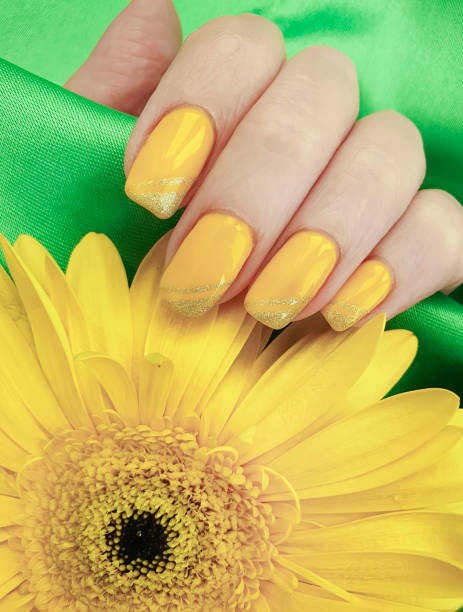 istock female manicure, gerbera flower, silk fabric 1146309506