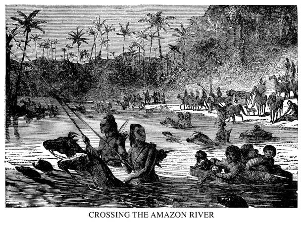 ilustrações, clipart, desenhos animados e ícones de cruzando o rio amazonas - amazon com illustrations