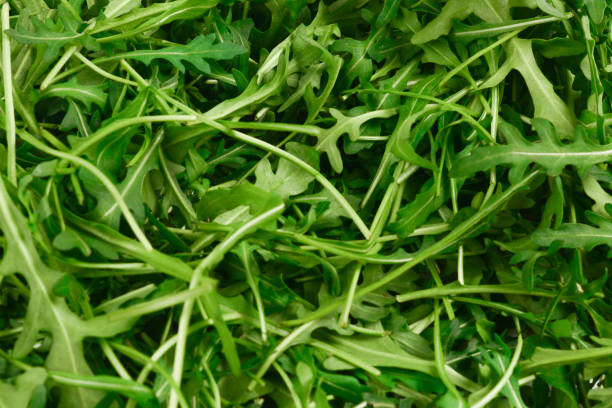 istock Fresh leaves of arugula as background. 1146311635