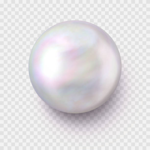 isolierte realistische single shiny pearl mit einem schatten auf transparentem hintergrund - schmuckperle stock-grafiken, -clipart, -cartoons und -symbole