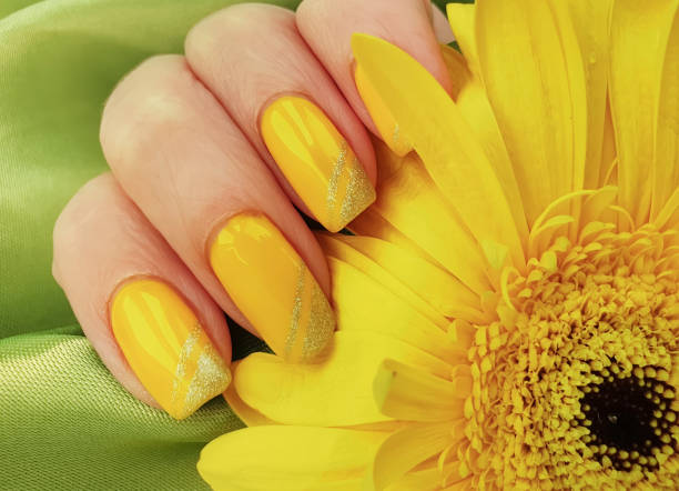 istock female manicure, gerbera flower, silk fabric 1146314126