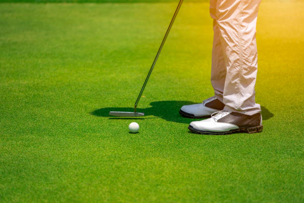 istock Golfer putting golf ball into hole on green golf course in vacation summer 1146316438