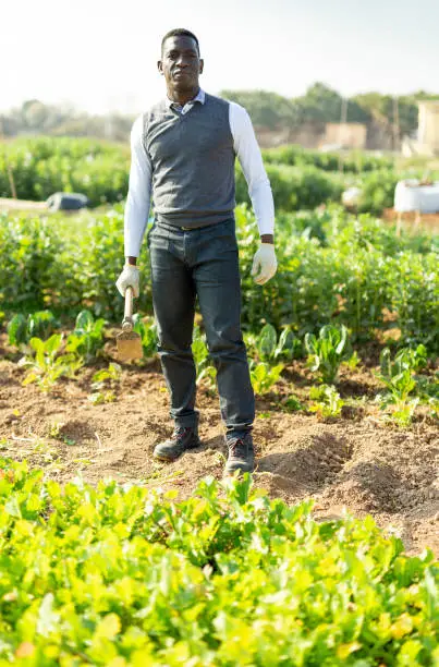 Photo of Focused man with hoe