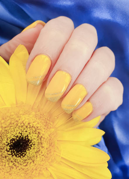 istock female manicure, gerbera flower, silk fabric 1146317309
