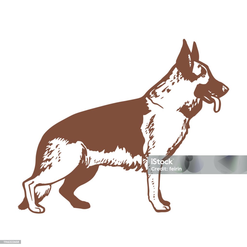 Isolated German Shepherd in Hand Drawn Style German Shepherd. Working Dog in Hand Drawn Style for Surface Design Fliers Banners Prints Posters Cards. Vector Illustration German Shepherd stock vector