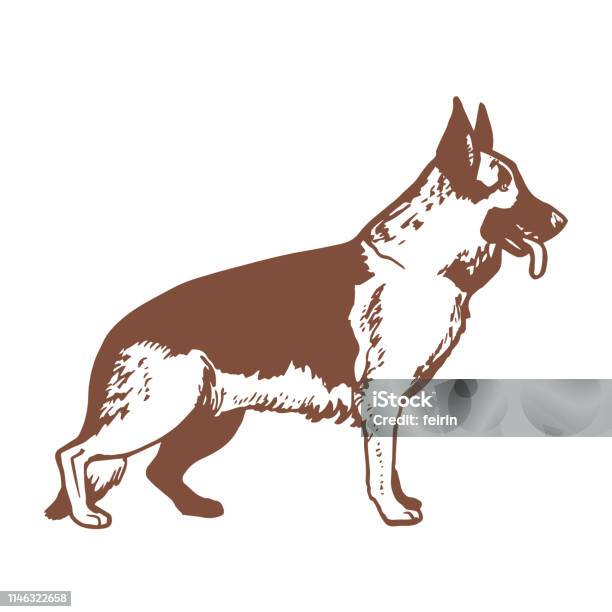 Isolated German Shepherd In Hand Drawn Style Stock Illustration - Download Image Now - German Shepherd, Flyer - Leaflet, Police Force