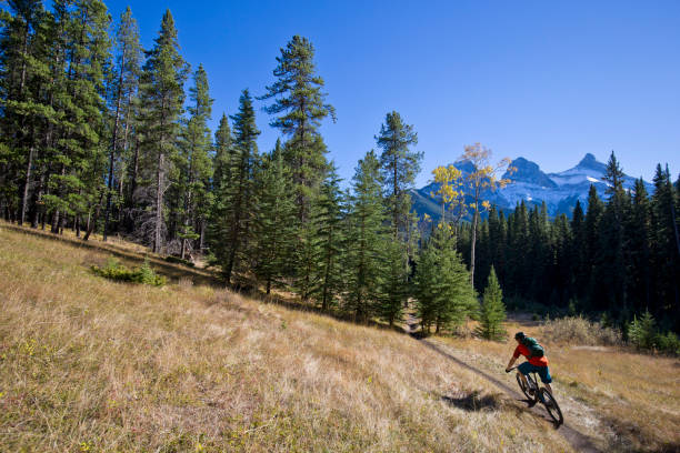 istock Mountain Bike Rider 1146322715