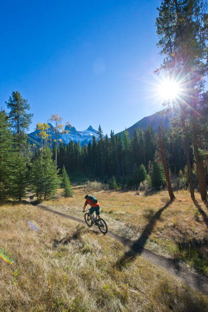 istock Mountain Bike Rider 1146322791