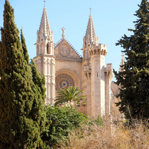 Palma Mallorca cathedral Santa Maria La Seu front view rose window