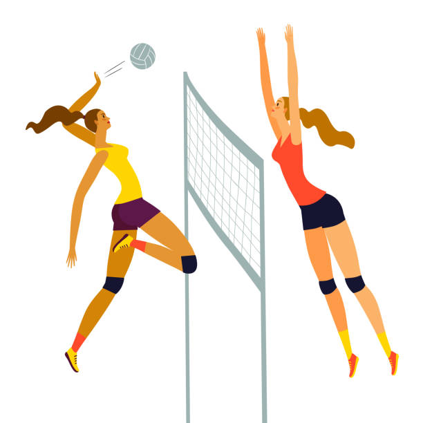 ilustraciones, imágenes clip art, dibujos animados e iconos de stock de un par de mujeres jugando al voleibol dinámico. - isolated volleyball women adult