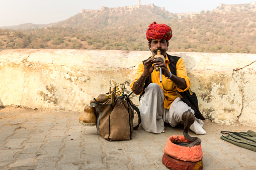 Snake charmer and his cobras at New Delhi, India