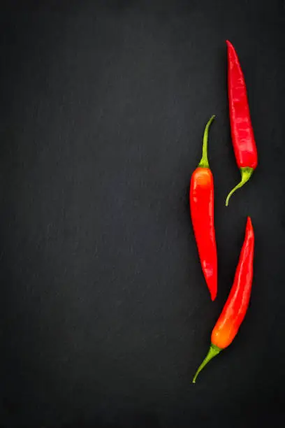Three red hot chili peppers on dark slate background with copy space.
